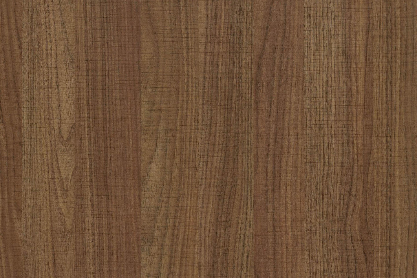 抗倍特板-色卡樣式